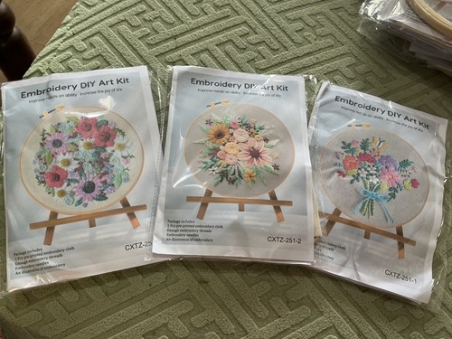 Embroidery kit with display - with,